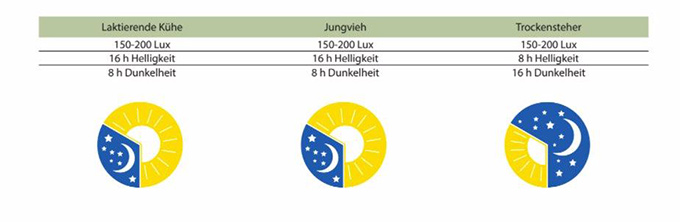 die-neue-wundersache-im-stall-led (4).jpg