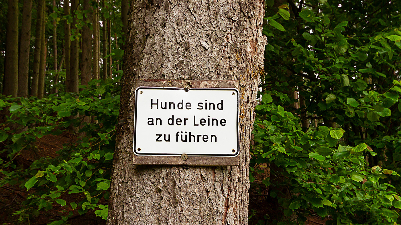 leinenpflicht-in-der-schweiz-beitragsbild.jpg