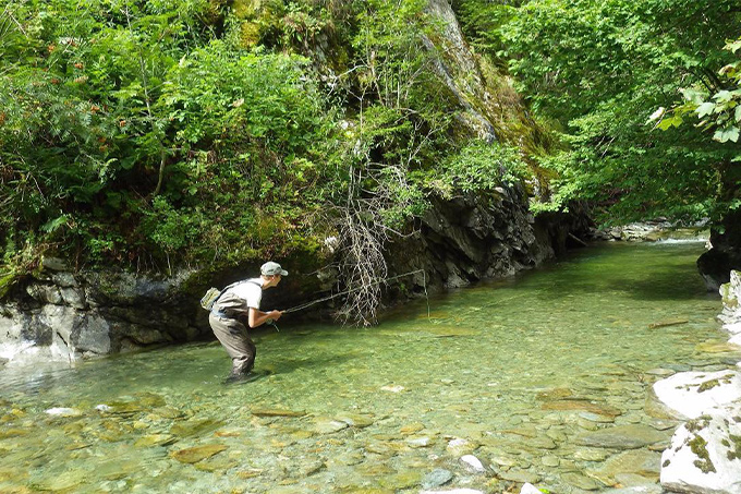 Reto auf der vorsichtigen Pirsch im glasklaren Wasser.jpg