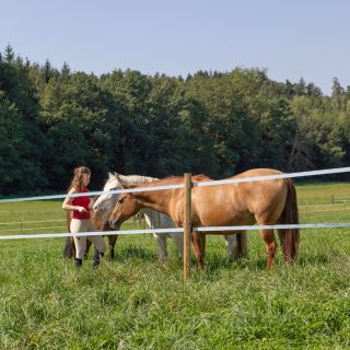 Design ohne Titel.jpg