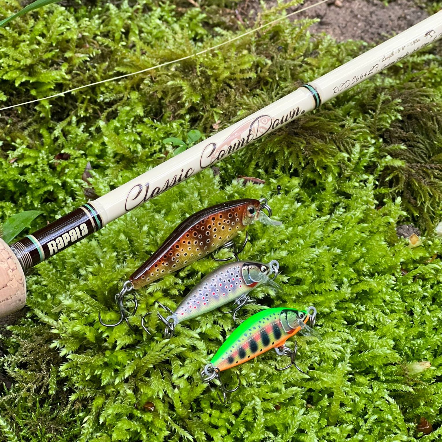 Rapala Vorschaubild.jpg