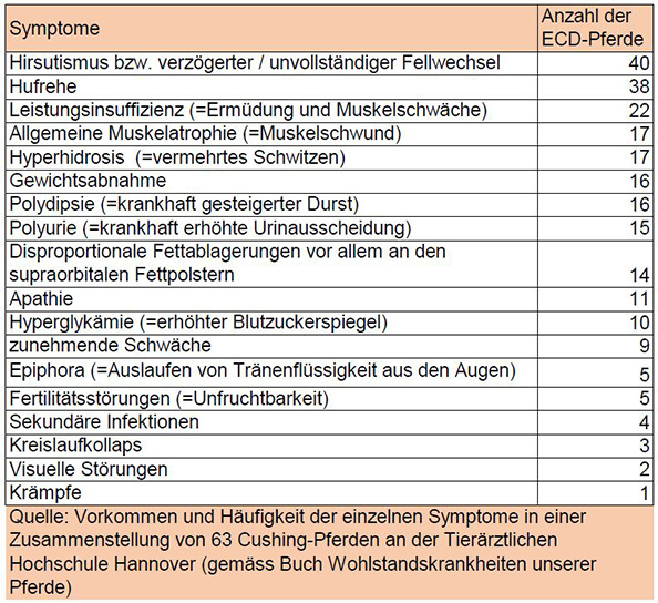 mein-cushing-pferd (4).jpg