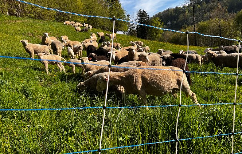 BLOG Titelbild (3).jpg