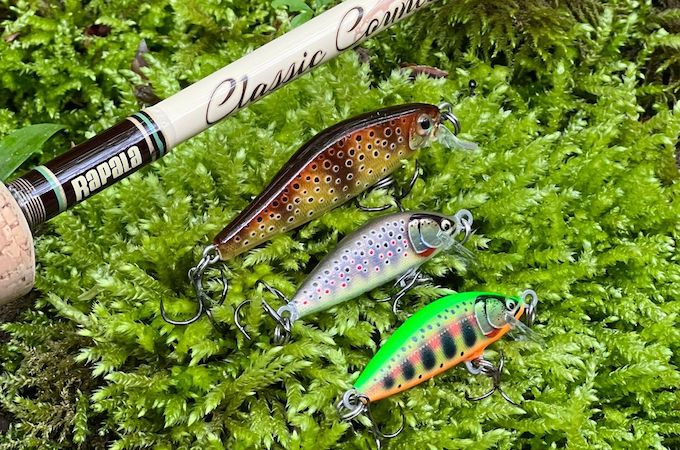 testbericht rapala köder countdown elite solid shad Kopie.jpg