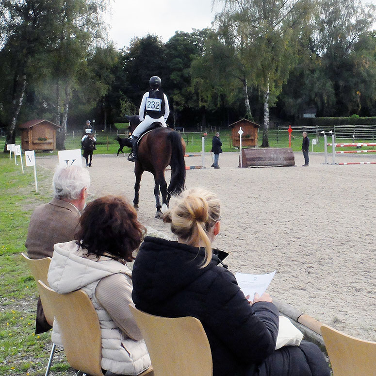 Happy Horse_ABREITEN CC BERN_2.jpg