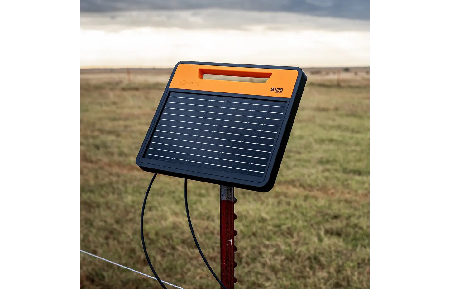 BBteoWeidezaun 1.jpg