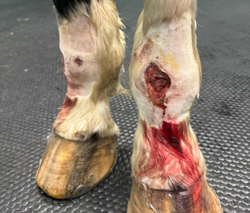 Bild nach Unfall _ Eintreffen Klinik.jpg