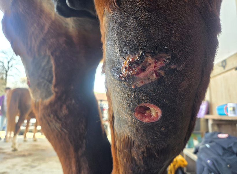 Naht aufgerissen nach zwei Wochen.jpg