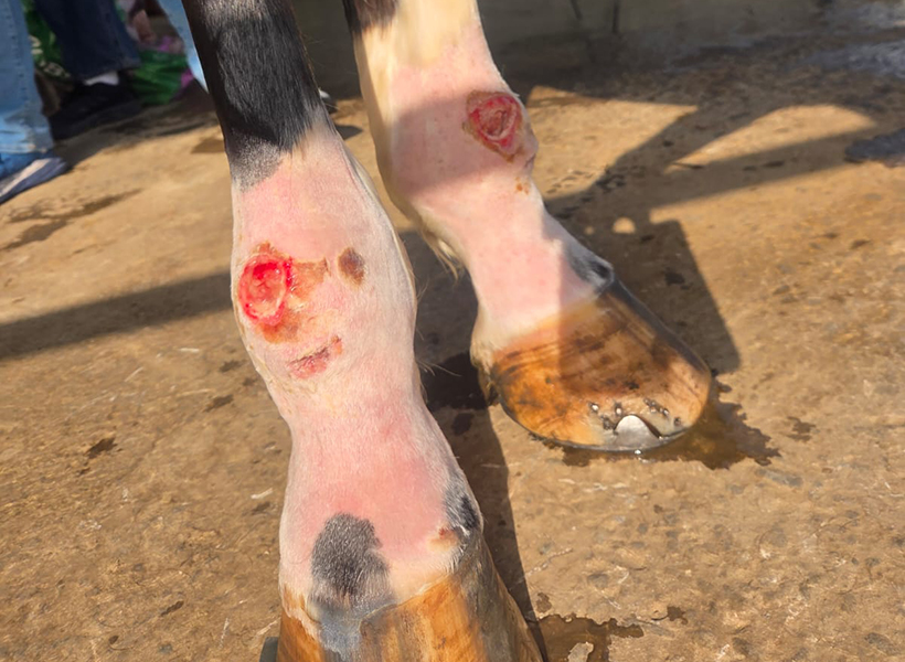 Nach einer Woche .jpg