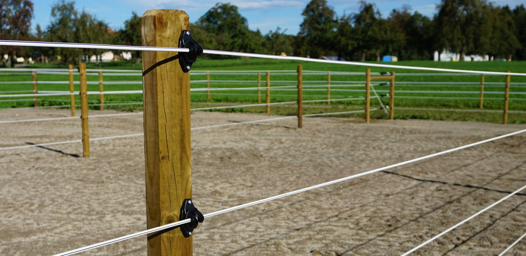 BB_Weidezaun.webp