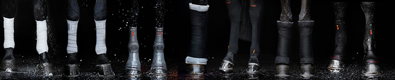 banner x800.jpg