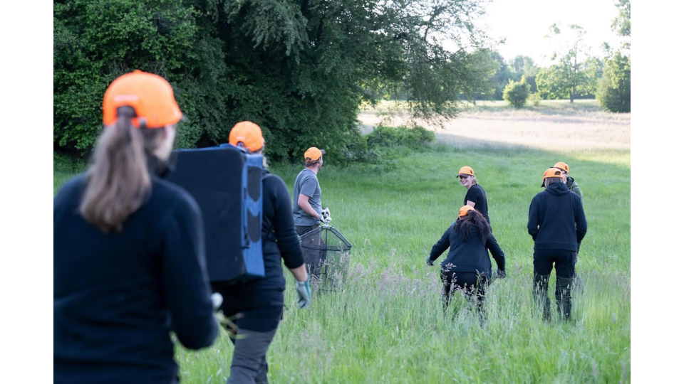 Ein Kitzretter-Team geht mit Rettungsausrüstung wie Kescher und Körben über eine grüne Wiese, mit dem Rücken zur Kamera gewandt.png