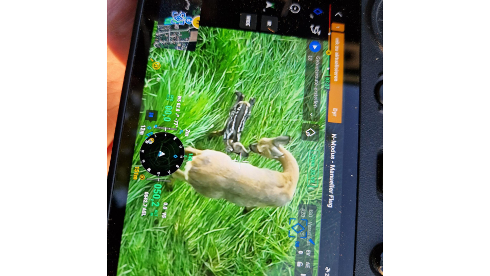 Der extrem hochauflösende Bildschirm der Fernsteuerung zeigt ein gestochen scharfes, helles Wärmebild einer Ricke mit ihrem Rehkitz im hohen Gras.png