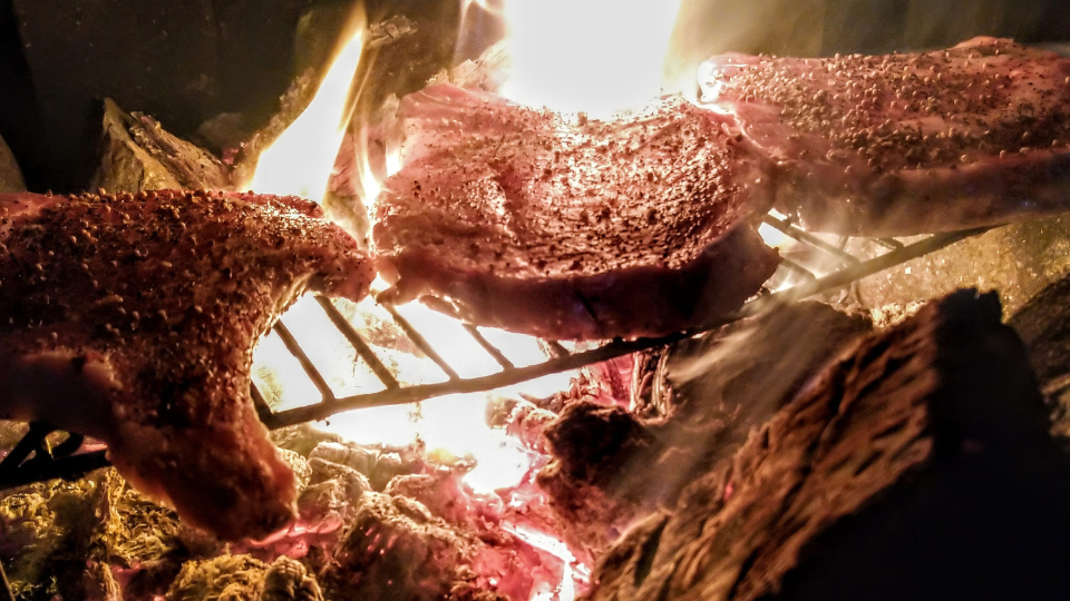 Saftiges Wildfleisch grillt auf einem Rost über einem offenen Lagerfeuer in der freien Natur.png
