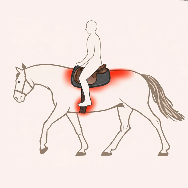 cover_image_sattelprobleme.webp