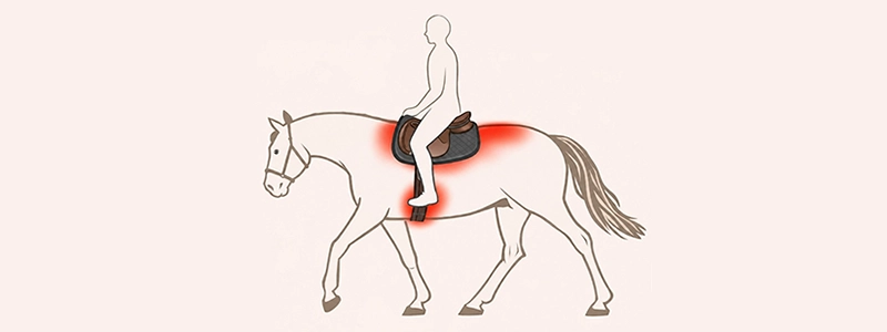 cover_image_sattelprobleme Kopie.webp