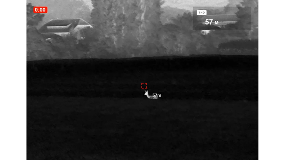 Screenshot des Pulsar Oryx LRF XG35 mit dem integrierten Laser-Entfernungsmesser, der ein Reh auf dem Feld in 57 Metern Entfernung anzeigt.png