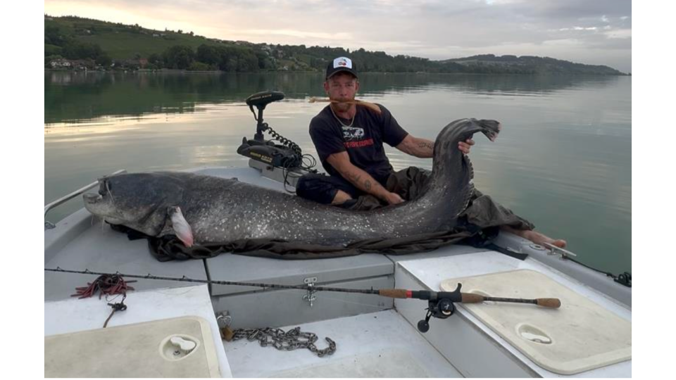 Tinu sitzt mit einem Wallerholz im Mund auf dem Boot und präsentiert einen massiven Wels in der Abenddämmerung.png