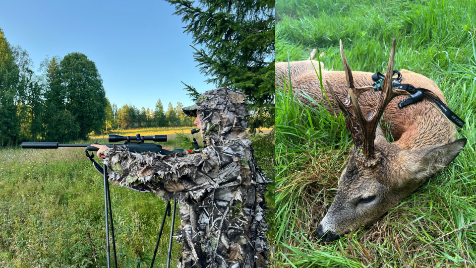 Bildcollage zur Blattjagd. Ein Jäger im Tarnanzug zielt mit dem Gewehr vom Zielstock aus, daneben ein erfolgreich erlegter Rehbock mit Gehörn im Gras.png