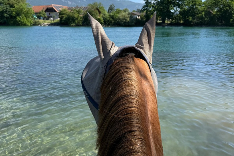 Contess am wasser.webp