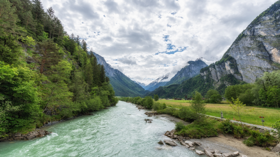Das smaragdgrüne Wasser der Aare fliesst durch ein alpines Tal im Berner Oberland umgeben von steilen Felswänden und Wäldern.png