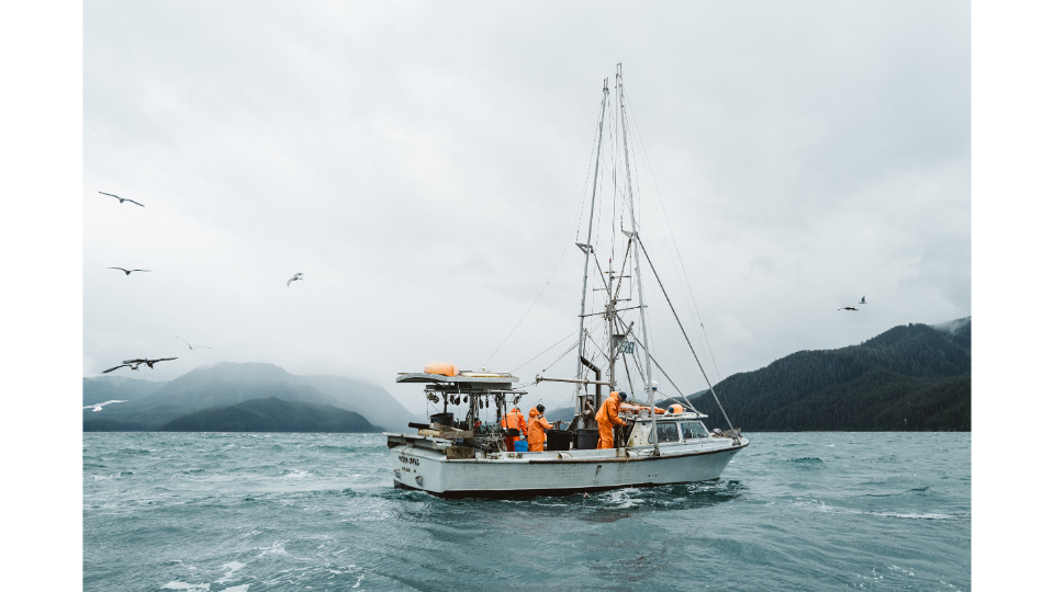 Ein Team in auffälliger, oranger Grundéns-Ausrüstung auf einem Boot bei grauem Regenwetter, umgeben von kreisenden Möwen auf einem leicht welligen See.png