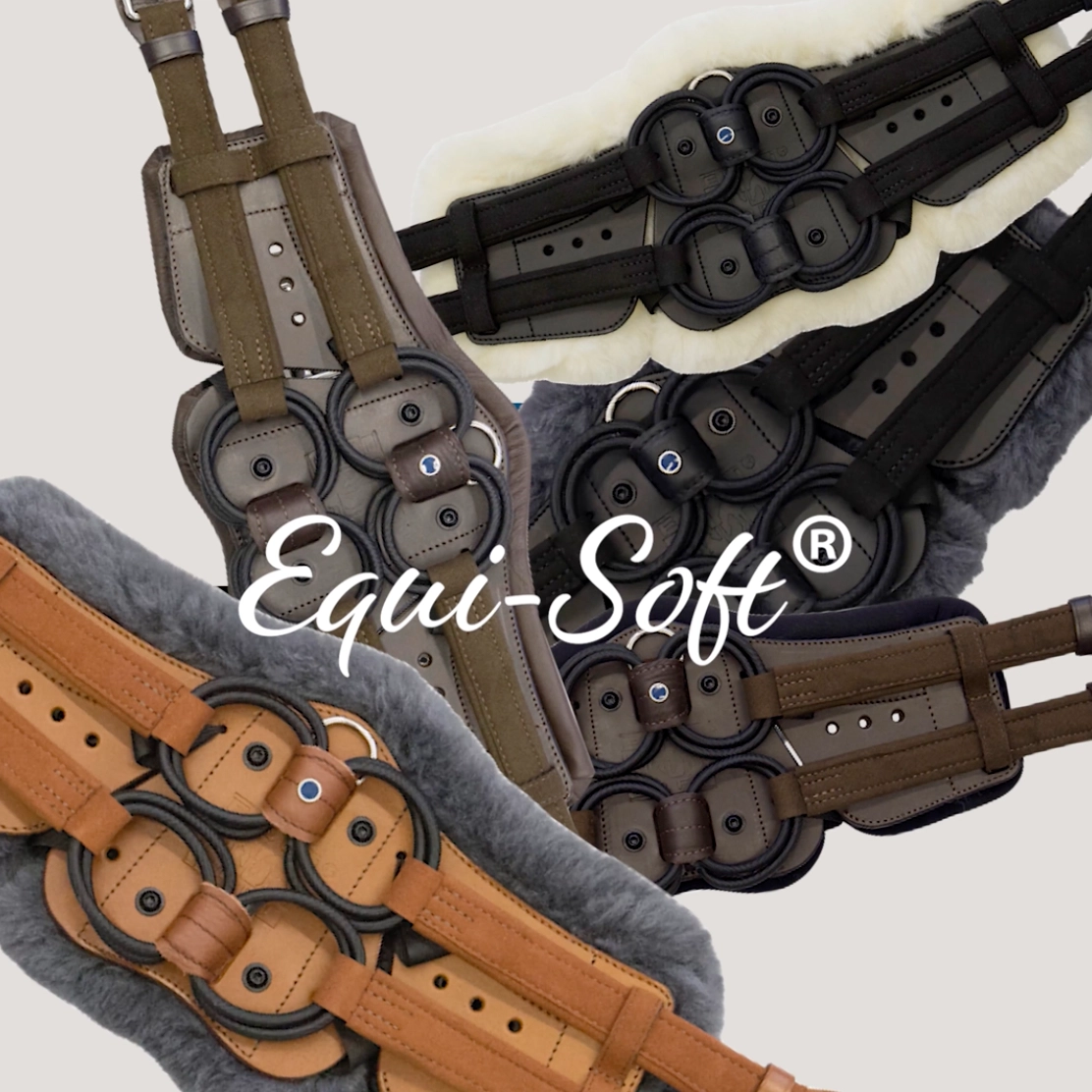 Cover_image_EquiSoft_gurte.webp