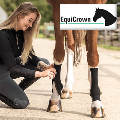 Cover Equicrown.png