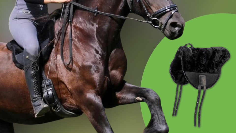 Reiterin auf braunem Pferd mit schwarzem F.R.A. BISCO Reitpad mit Lammfell und Griff sowie Nahaufnahme des Reitkissens.png