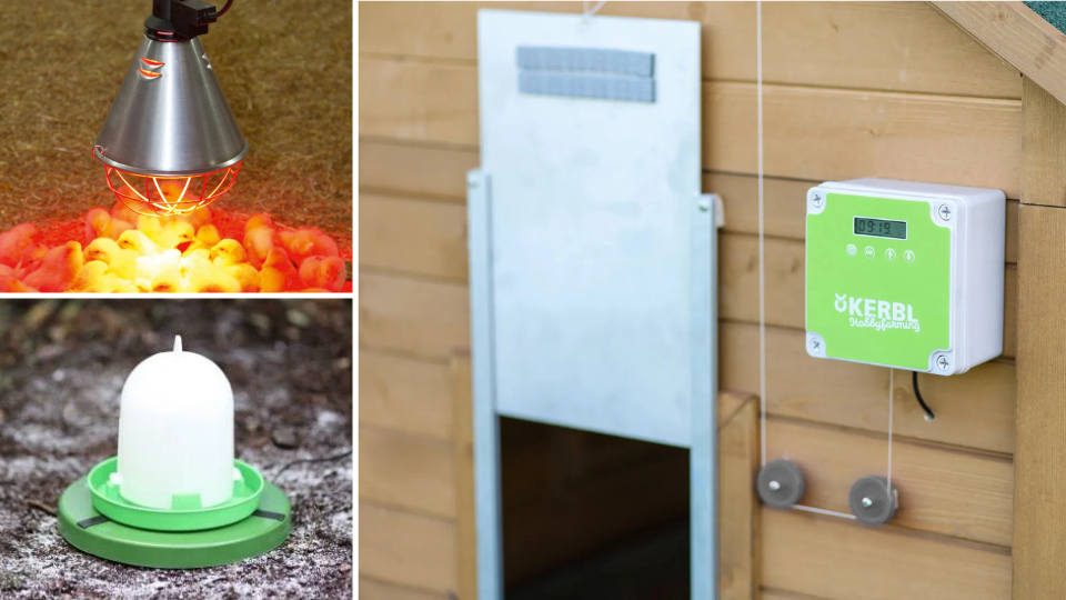 Wärmelampe für Küken, Tränkewärmer im Schnee und automatische Kerbl Hühnertür am Stall im Winter.png