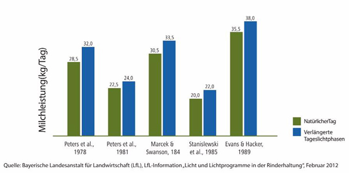 die-neue-wundersache-im-stall-led (5).jpg