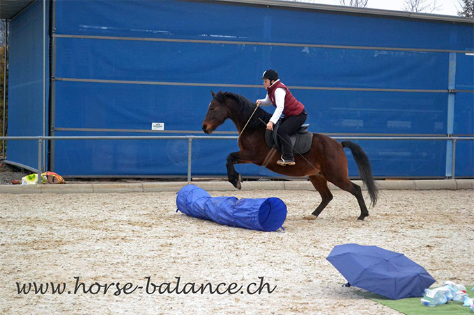 reiten-mit-halsring (3).jpg