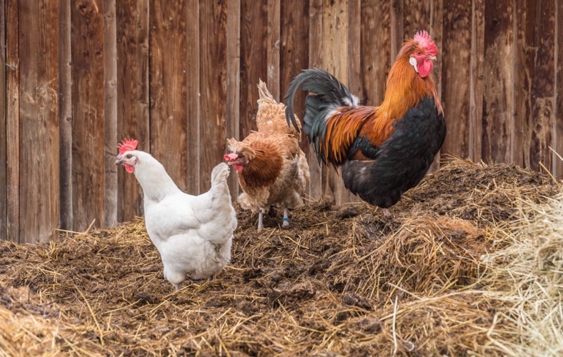 AdobeStock_503799341 (1).jpg