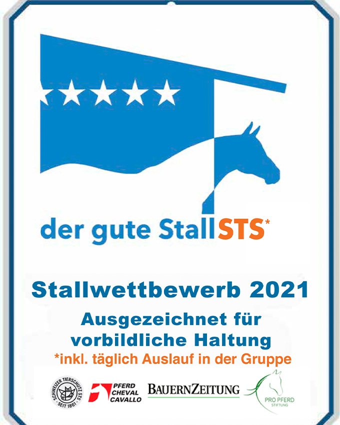 stallwettbewerb.jpg