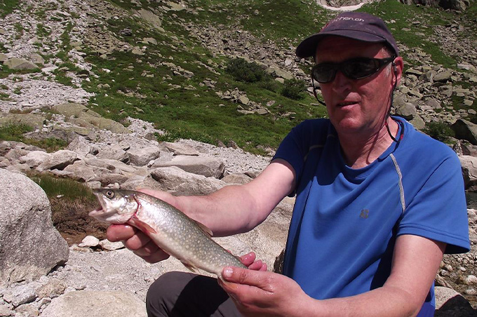 Namaycush aus dem Gelmersee.jpg