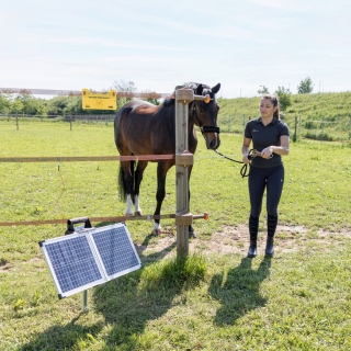 _Torsysteme aus biobasiertem Kunststoff coverbild.jpg
