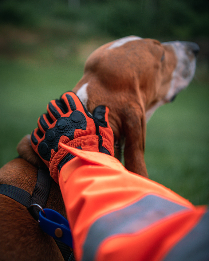 Wild-GL-Handschuhe.jpg