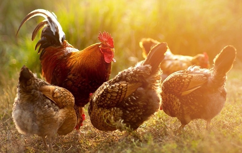 b42caf27a22a47798fb94ac0b0be91a2-2_16_02_56 (1).jpg