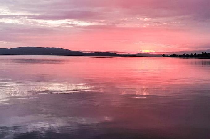 Zander Dämmerung.jpg