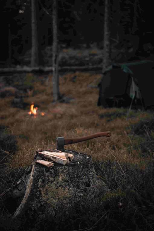 Villmarksøksa i stubbe_bål_skog_Telt_Tord-min.jpg