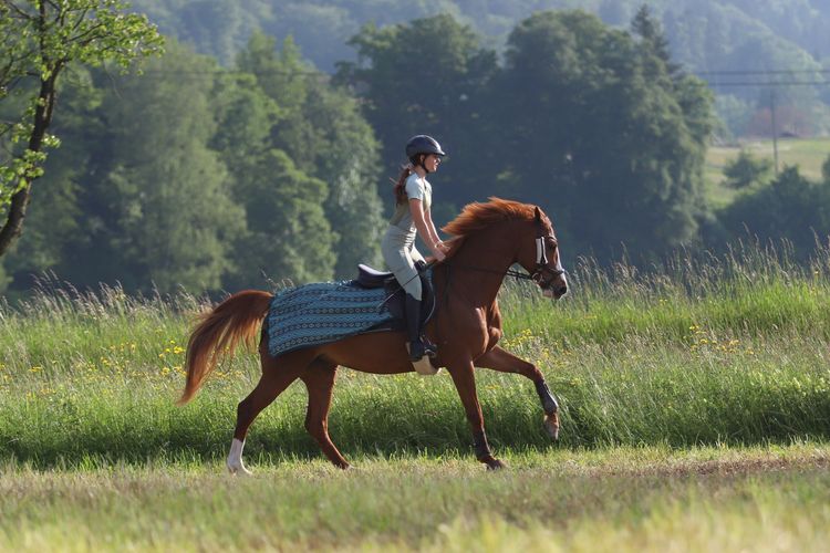 SM_Sommer-14.jpg
