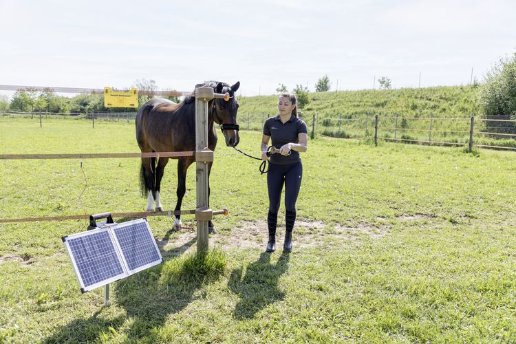 188983_Stimmungsbild _442399.jpg