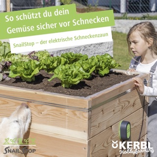 SocialPALS_Google-Display_1200x1200px3 (1).jpg