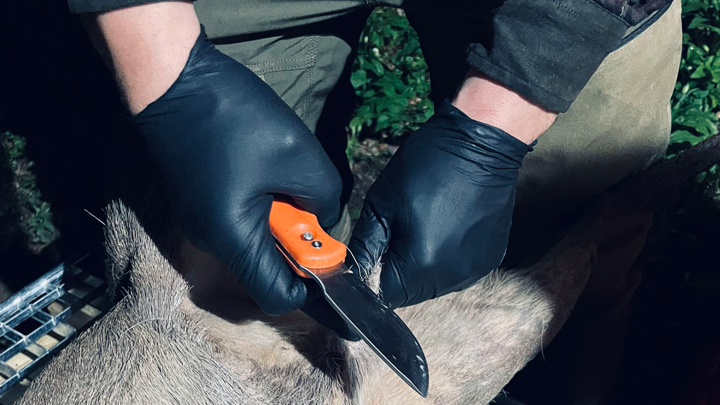 Swingblade-orange-Beitragsbild.jpg