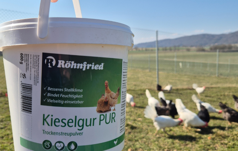 BLOG Titelbild (2).png