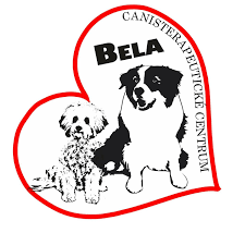 Canisterapia BELA