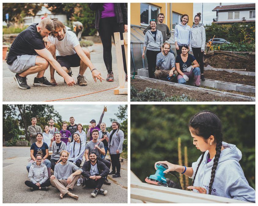 Purple team at Schizandra