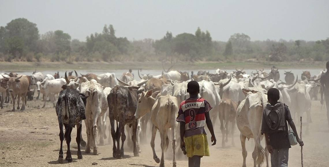 Seeds of Peace: Food Security for Stability in the Sahel
