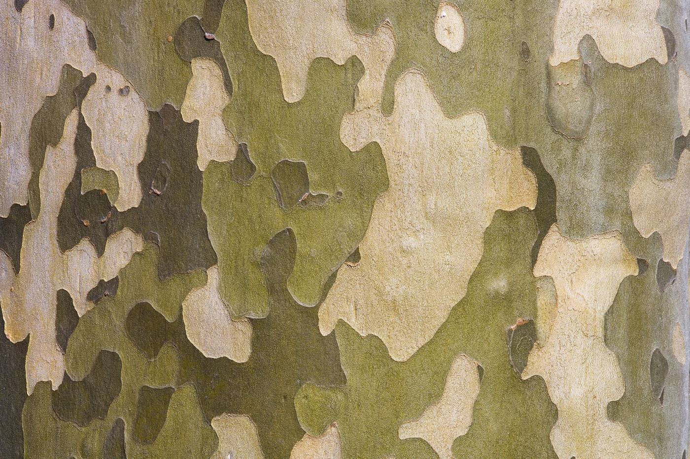 Innovative technologies and renewed policies for achieving a Greener Defence