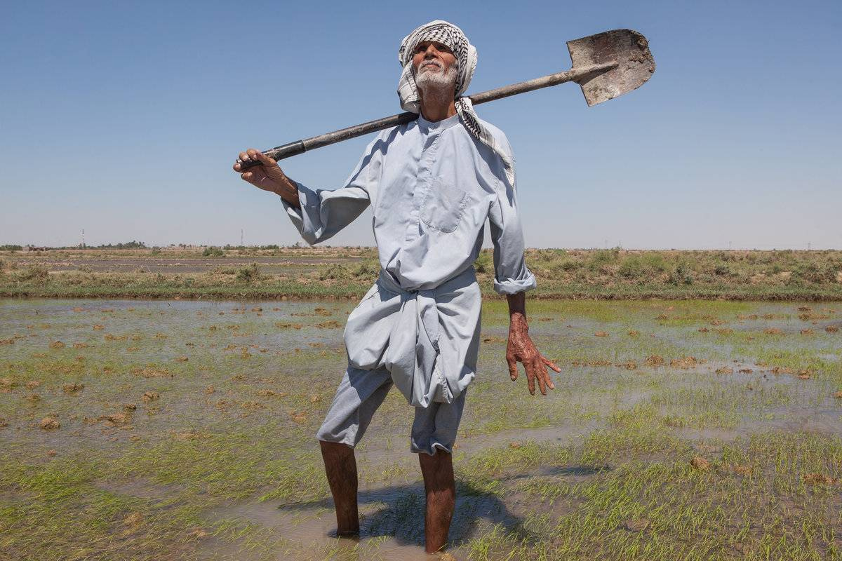 Il nesso tra scarsità di risorse e instabilità: il caso della crisi idrica nella provincia irachena di Bassora